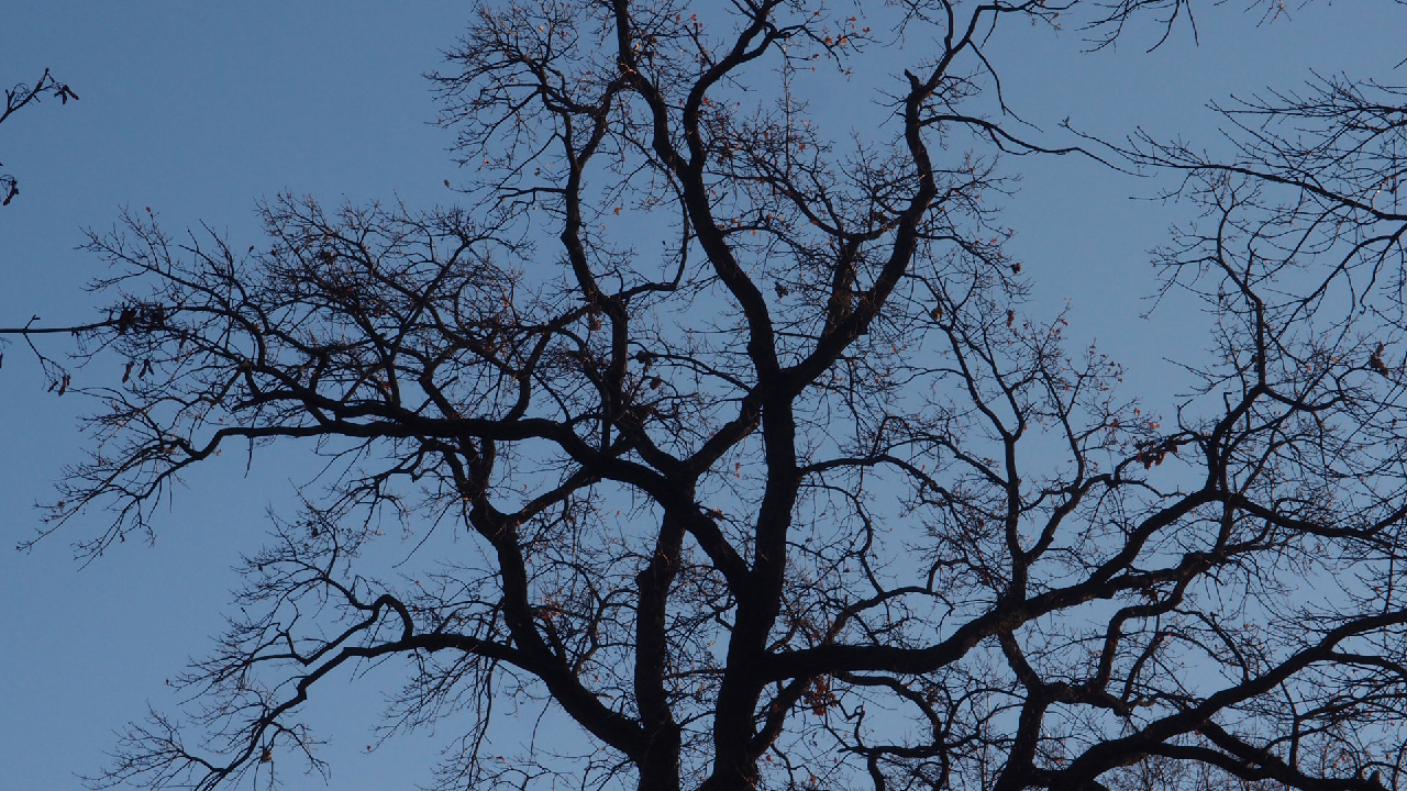 2020-12-26 Kühlgeträt (On/Off) (Remix John Cage - Empty Words IV)